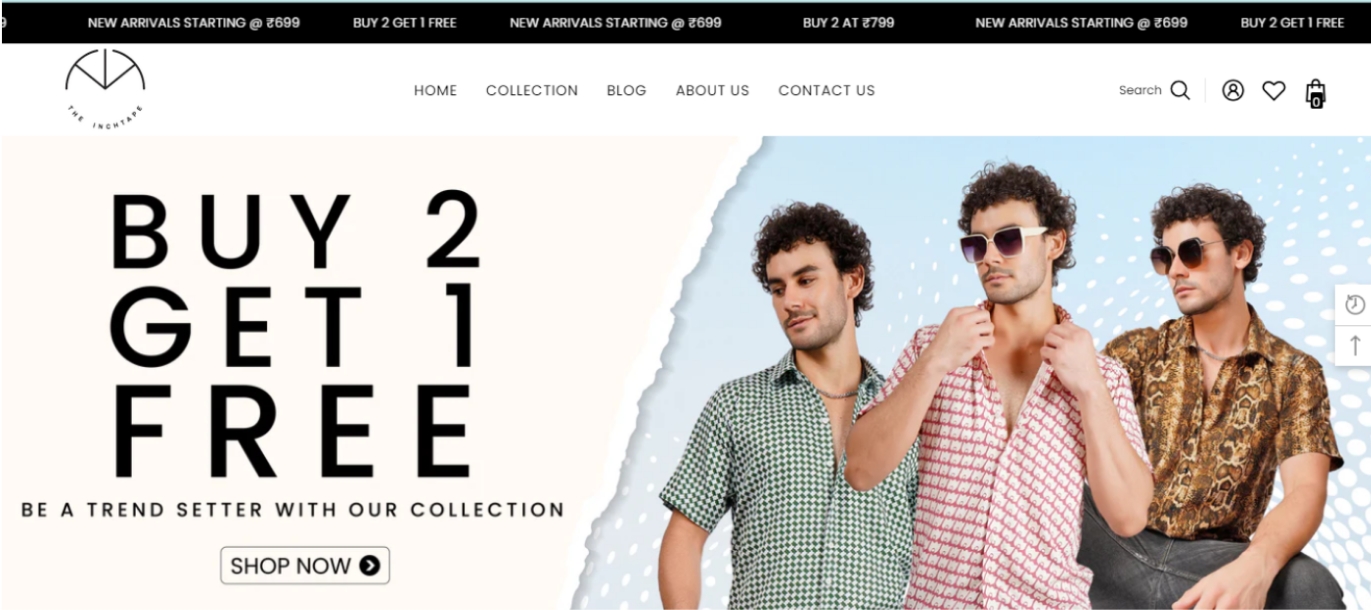 The  Website Preview